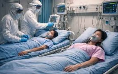 Suspected Nipah virus cases detected in Bengal; 2 nurses critical