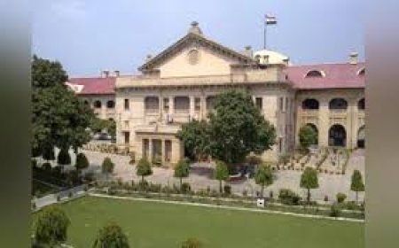 Wife's qualifications no ground to deny maintenance: HC