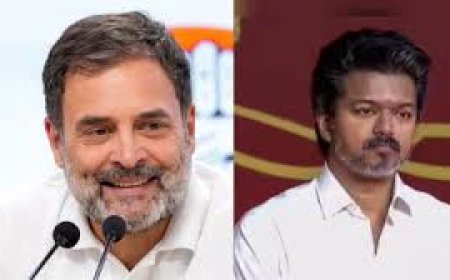 'Attack on Tamil culture': Rahul blames Modi for Vijay film delay