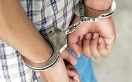 Indian businessman jailed in US for illegal export of aviation parts to Russia