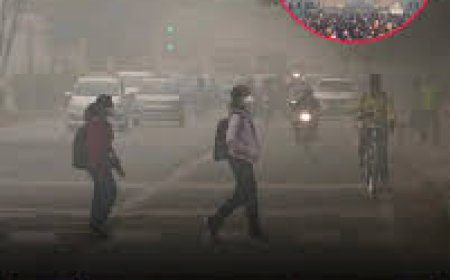 GRAP-4 enforced in Delhi-NCR as air quality turns 'severe'