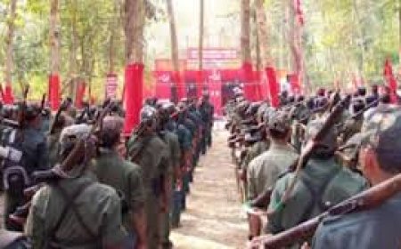 Telangana Police appeal to remaining Maoists to surrender
