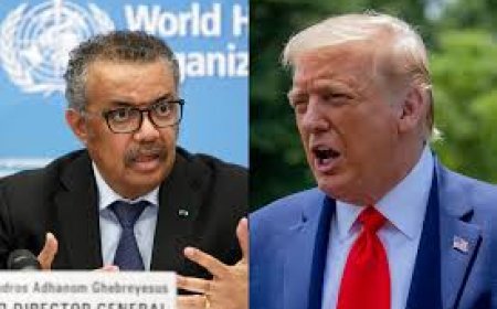 US exits WHO, citing COVID failures
