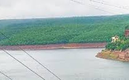 Existing water allocations cannot be disturbed, Andhra Pradesh tells Tribunal