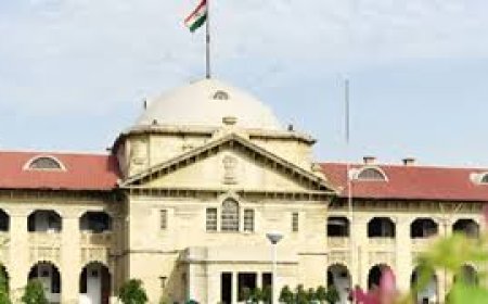When live-in relationships fail, rape FIRs are lodged: HC