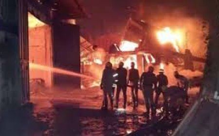 7 killed in major fire at two Bengal godowns, several missing