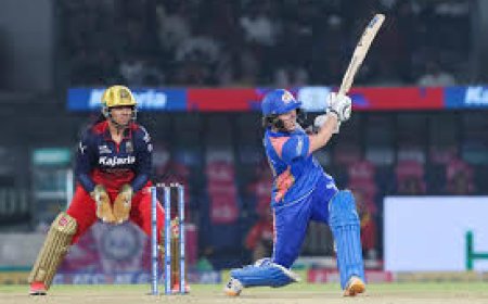 'Special moment...' Sciver-Brunt on historic WPL ton