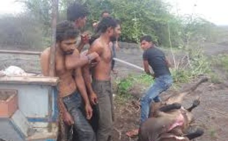 Locals beat up gau rakshaks for attacking cattle traders near Hyderabad Airport,