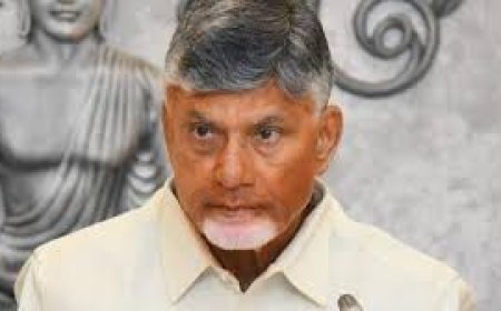 Wait for SIT report on ghee scam, CM Chandrababu Naidu tells Ministers