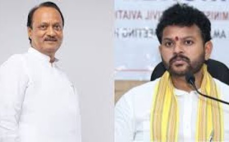 No conspiracy involved, purely an accident: Sharad Pawar, Ram Mohan Naidu react to Ajit Pawar's death