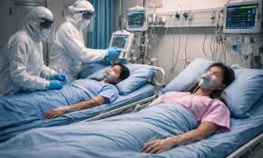 Suspected Nipah virus cases detected in Bengal; 2 nurses critical