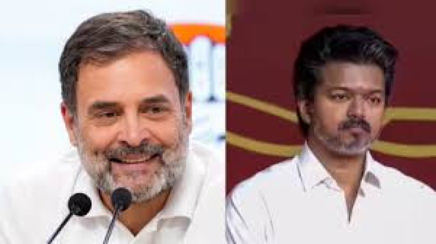 'Attack on Tamil culture': Rahul blames Modi for Vijay film delay