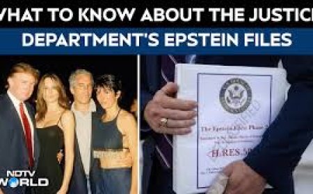 "Trashy Ruminations By Convicted Criminal": India On PM's Mention In Epstein Files