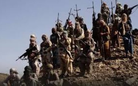 Pakistani forces kill 177 Baloch militants in 48 hours; India denies involvement