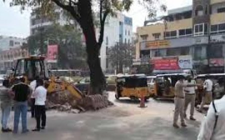 GHMC relocates tree obstructing traffic near Shaikpet Flyover