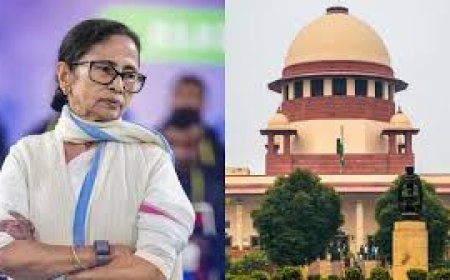 Save democracy: Mamata argues SIR case in person in SC