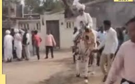 Dalit groom assaulted with swords for riding a horse in Gujarat