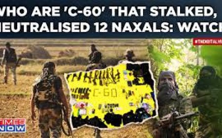 Maoist killed, C-60 commando injured in Gadchiroli encounter