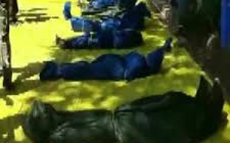 Top Maoist leader Prabhakar among 7 rebels killed in Gadchiroli