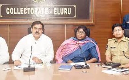 Eluru set Rs 9,067 crore target for horticulture: Andhra Civil Supplies Minister
