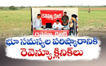 Andhra government's revenue clinics resolve 226 families’ land issues