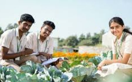 Agriculture Students Combine Education with Social Responsibility