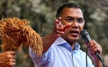 BNP nears clear victory in Bangladesh polls, set to form govt