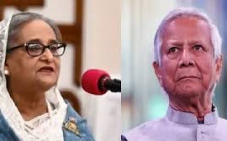 Sheikh Hasina calls Bangladesh polls 'disgraceful chapter'