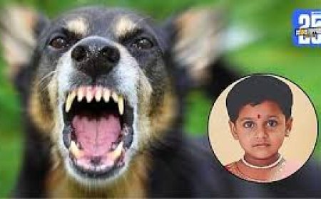 5-year-old girl died after stray dogs attacked children in UP