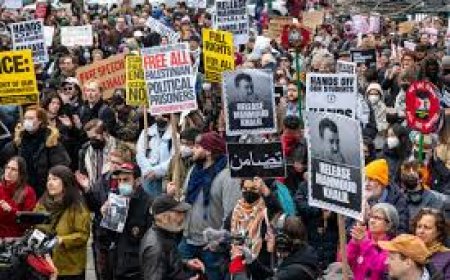 Pro-Palestine activists protest against Trump’s Board of Peace.jpg