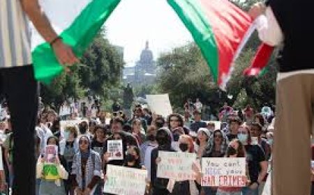Pro-Palestine activists protest against Trump’s Board of Peace