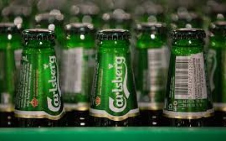 Carlsberg considers listing India arm as growth accelerates