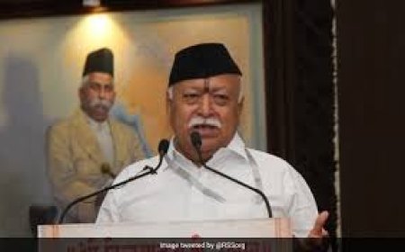 'India has solutions': RSS chief slams US, China