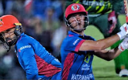 T20 World Cup: Zadran and Nabi the standouts as Afghanistan end campaign on high