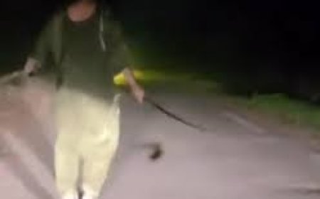 NRI woman fights off late-night robbers with sword in Punjab