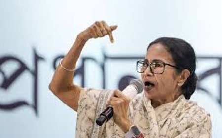 Bengal SIR out of ECI's control: TMC alleges after SC order deploying more judges to complete verification