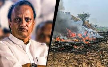 Ajit Pawar Death: DGCA Grounds 4 VSR Ventures Aircraft Over Safety Lapses After Plane Crash Audit