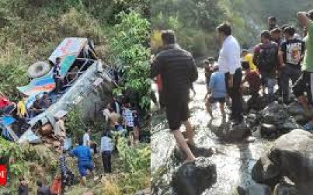 Toddler among three killed after car plunges into deep gorge in Uttarakhand's Almora