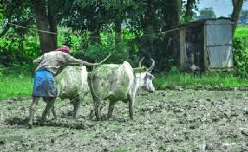 Farmers abandoned by government in Budget 2026: Rythu Swarajya Vedika