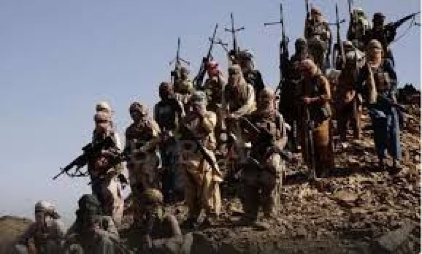 Pakistani forces kill 177 Baloch militants in 48 hours; India denies involvement