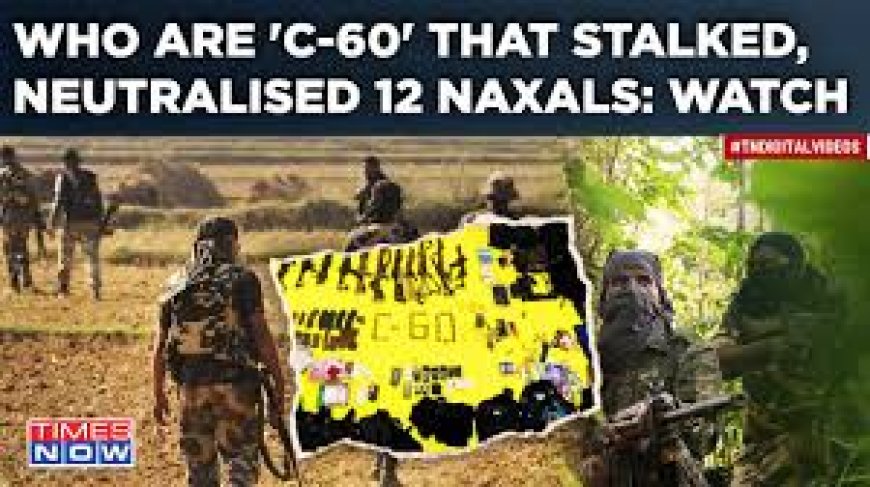 Maoist killed, C-60 commando injured in Gadchiroli encounter