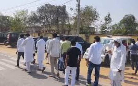 Youth killed during clash between alleged cow smugglers, vigilantes in Rajasthan's Bhiwadi