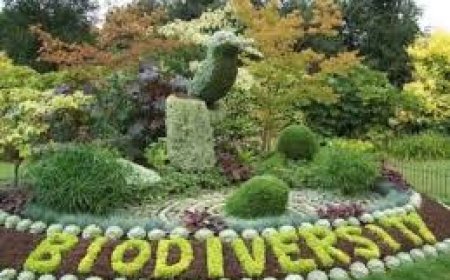 Visakhapatnam’s biodiversity park marks 25 years of conservation and learning