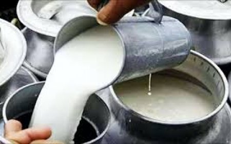 Toll rises to 10,  presence of toxin confirmed in Adulterated milk tragedy