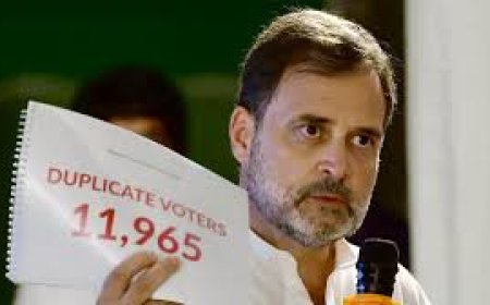 Dual citizenship row: HC seeks Centre's records on Rahul Gandhi