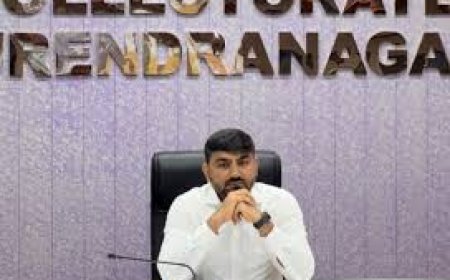 Ex-Surendranagar Collector Denied Bail in Money Laundering Case
