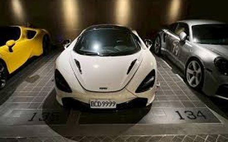 Man Arrested in Rajasthan Luxury Car and Crypto Investment Fraud