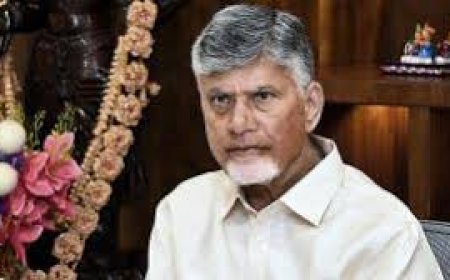 CM Chandrababu Naidu to lay stone for AMNS plant on March 23