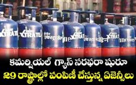 LPG supply stable, commercial distribution underway in 29 states, govt steps up raids against hoarding