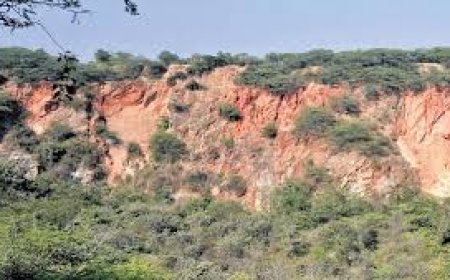 Environment ministry endorses names of 10-member expert committee set up to define Aravalli hills